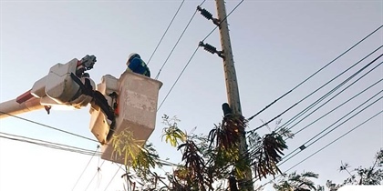 En el barrio El Rosario, en el centro de Barranquilla, personal técnico de la empresa Air-e trabajará en mantenimiento de elementos eléctricos y transformadores este domingo 28 de enero para garantizar la continuidad del servicio de energía.