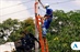 Adecuaciones eléctricas en sectores de Barranquilla y municipios...