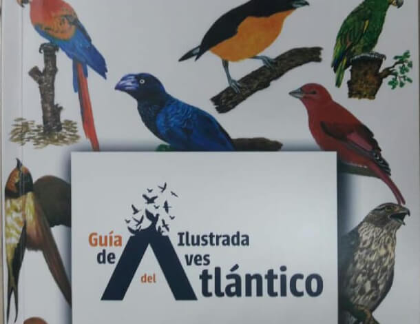 Imagen de guía ilustrada de aves del Atlántico 