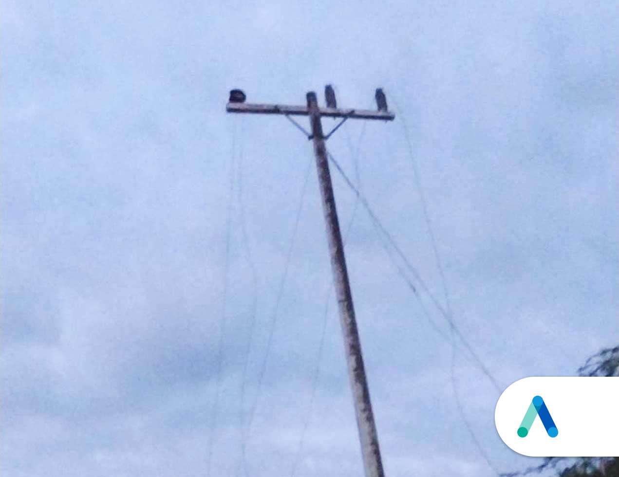 Nuevo robo de cables eléctricos  en zona rural de Campeche