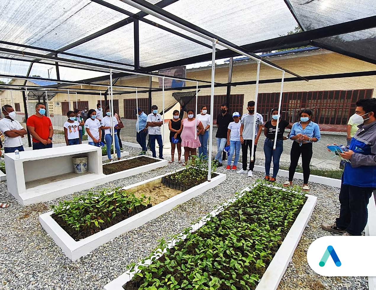 Air-e inauguró tres viveros bioclimáticos en Magdalena