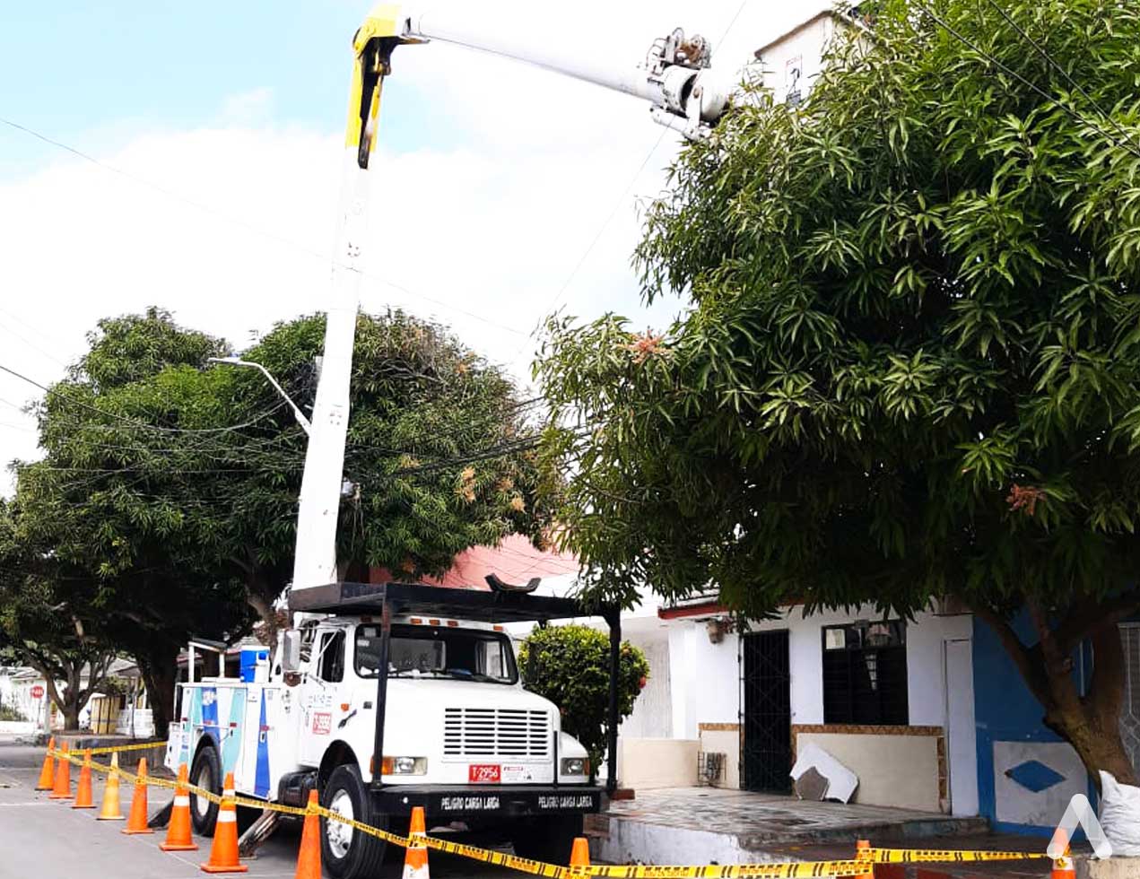 Mantenimiento de redes eléctricas en  sectores de Barranquilla y Soledad