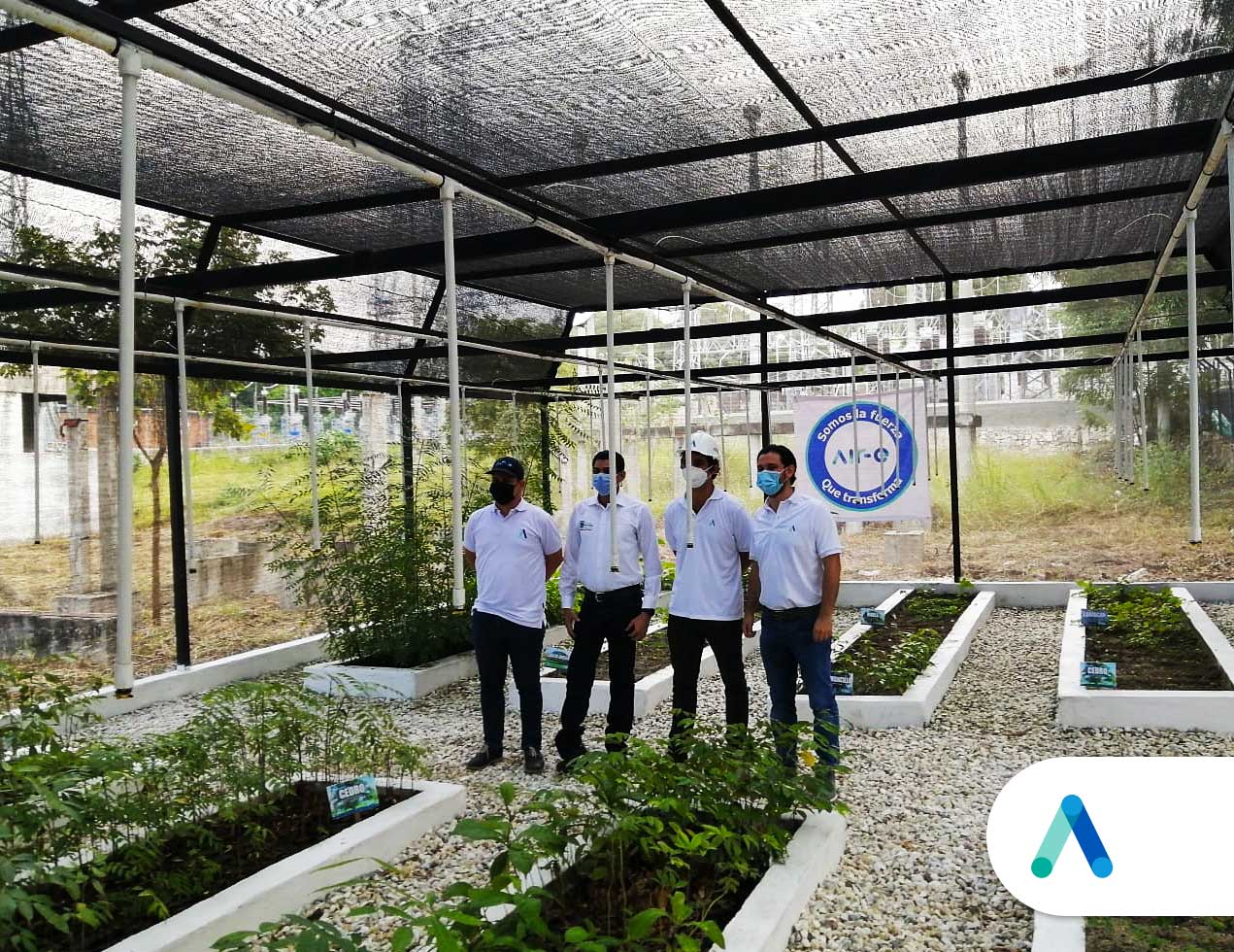 Presidente de Air-e y Alcalde de Zona Bananera recorrieron vivero bioclimático en subestación Río Córdoba